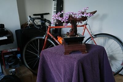 Bonsai rendered in the browser from the baked texture atlas